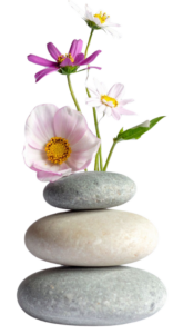 Projekt bez nazwy (2)